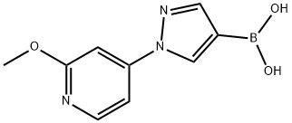 1-(2-Methoxy-4-pyridyl)-1H-pyrazole-4-boronic acid结构式