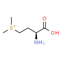 [(3S)-4-Oxo-4-hydroxy-3-aminobutyl]dimethylsulfonium Structure