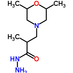 3-(2,6-DIMETHYLMORPHOLIN-4-YL)-2-METHYLPROPANOHYDRAZIDE图片