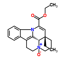 ApovincaMinic Acid Ethyl Ester N-Oxide picture