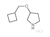 3-(Cyclobutylmethoxy)pyrrolidine hydrochloride结构式