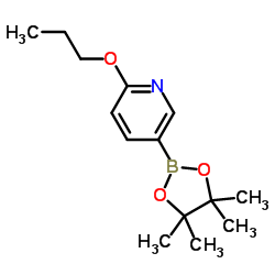 2-丙氧基-5-吡啶硼酸酯图片