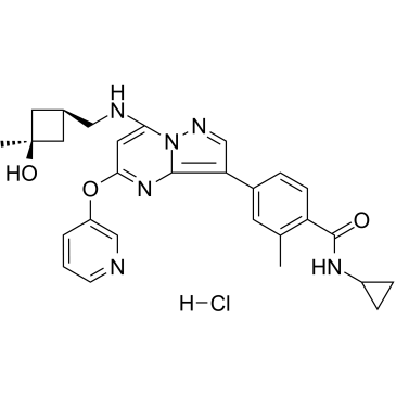 1610677-37-6 structure