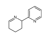 2-(2,3,4,5-tetrahydropyridin-2-yl)pyridine Structure