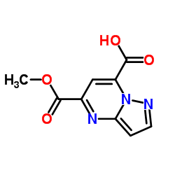 5-(Methoxycarbonyl)pyrazolo[1,5-a]pyrimidine-7-carboxylic acid picture