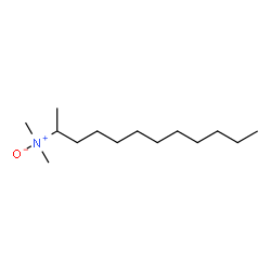 13025-81-5 structure