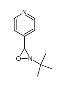 4-(2-tert-butyl-oxaziridin-3-yl)-pyridine Structure