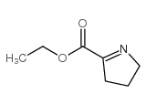 2H-Pyrrole-5-carboxylicacid,3,4-dihydro-,ethylester(9CI) Structure