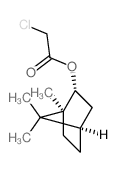 Acetic acid, chloro-,1,7,7-trimethylbicyclo[2.2.1]hept-2-yl ester, endo- (9CI) picture