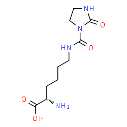 N(6)-(2-imidazolidinone-N-carbonyl)-L-lysine结构式