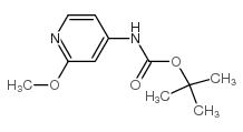 (2-甲氧基-吡啶-4-基)-氨基甲酸叔丁酯图片