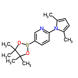 2-(2,5-dimethyl-1H-pyrrol-1-yl)-5-(4,4,5,5-tetramethyl-1,3,2-dioxaborolan-2-yl)pyridine picture