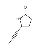 2-Pyrrolidinone,5-(1-propynyl)-(9CI)结构式