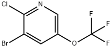 3-溴-2-氯-5-(三氟甲氧基)吡啶图片