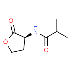 Propanamide,2-methyl-N-[(3S)-tetrahydro-2-oxo-3-furanyl]- picture