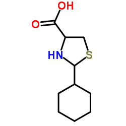 56888-62-1 structure