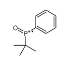 tert-butyl-oxo-phenylphosphanium Structure