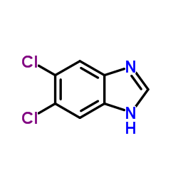 5,6-Dichloro-1H-benzo[d]imidazole picture