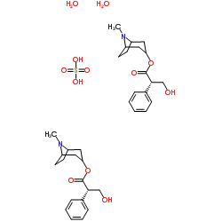 Hyoscyamine Sulfate picture