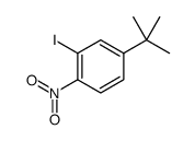 4-(tert-butyl)-2-iodo-1-nitrobenzene picture