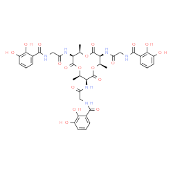 beta-lipotropin, Gln(9)- picture