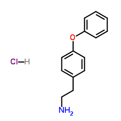 2-(4-Phenoxyphenyl)ethanamine hydrochloride (1:1) Structure