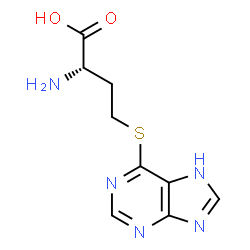 S-(6-purinyl)homocysteine Structure