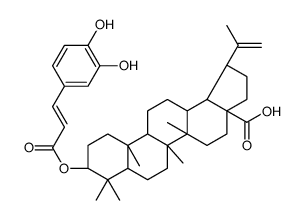 圆齿火棘酸图片