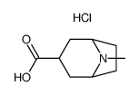 8-methyl-8-azabicyclo[3.2.1]octane-3-carboxylic acid hydrochloride salt Structure