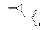 (RS)-(Methylenecyclopropyl)acetic acid结构式