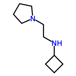 N-[2-(1-Pyrrolidinyl)ethyl]cyclobutanamine结构式