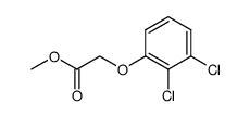 Methyl-2-(2,3-Dichlorophenyl)Acetate picture