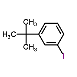 1-碘-3-叔丁基苯结构式