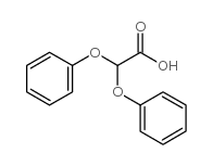 729-89-5 structure