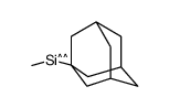 1-adamantyl(methyl)silicon Structure