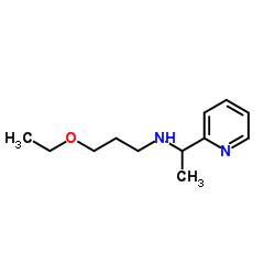 (3-ETHOXY-PROPYL)-(1-PYRIDIN-2-YL-ETHYL)-AMINE结构式