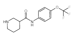 N-[4-(trifluoromethoxy)phenyl]piperidine-3-carboxamide Structure