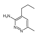 6-methyl-4-propylpyridazin-3-amine结构式