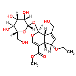 6-Ethoxygeniposide Structure