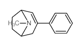 8-methyl-3-phenyl-8-azabicyclo[3.2.1]oct-3-ene结构式