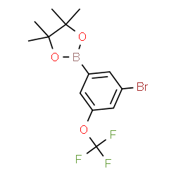 3-Bromo-5-(trifluoromethoxy)phenylboronic acid pinacol ester Structure