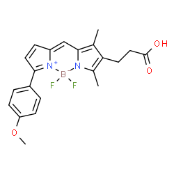 BDP TMR carboxylic acid structure