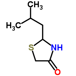 2-Isobutyl-1,3-thiazolidin-4-one Structure