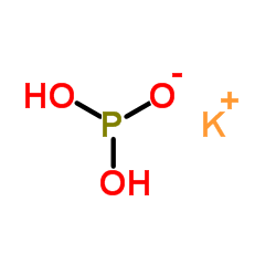 Monopotassium phosphite structure