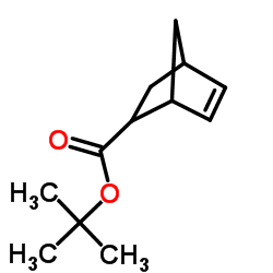 5-Norbornene-2-carboxylic t-Butyl ester picture