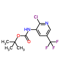 (2-氯-5-(三氟甲基)吡啶-3-基)氨基甲酸叔丁酯图片