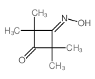 1,3-Cyclobutanedione,2,2,4,4-tetramethyl-, 1-oxime结构式