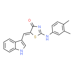 2-[(3,4-dimethylphenyl)imino]-5-(1H-indol-3-ylmethylene)-1,3-thiazolidin-4-one结构式