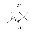 t-butylchloromethylenedimethylammonium chloride Structure