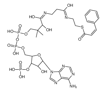 (E)-cinnamoyl-CoA picture